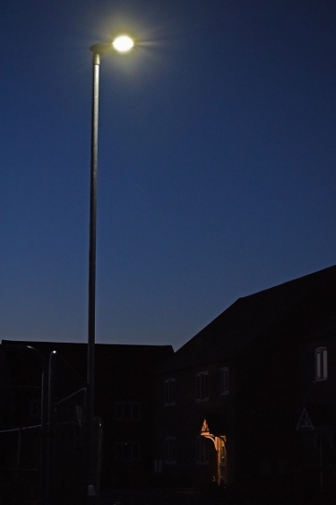How to light outdoor spaces when bats are a consideration - Ansell Lighting