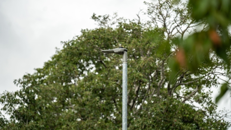 DSC09860