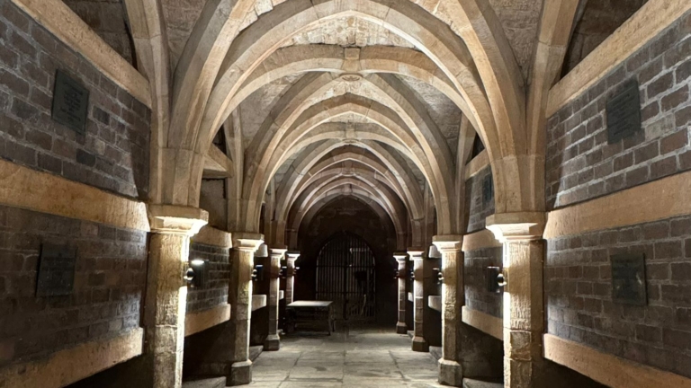 WhatsApp Image 2025-10-07 at 18.58.07_663b30c8