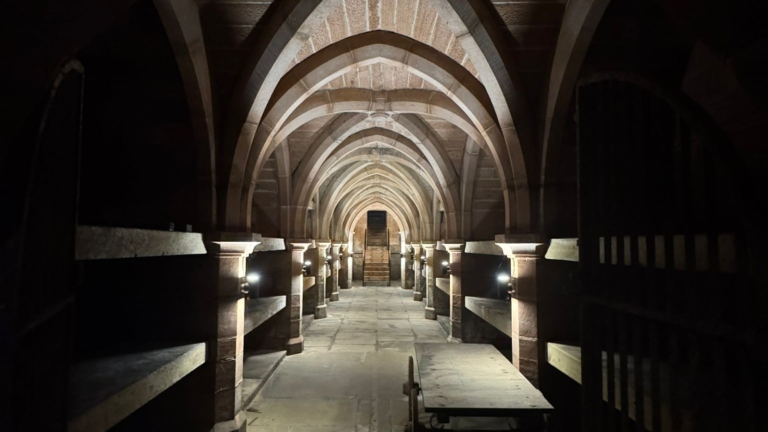 WhatsApp Image 2025-10-07 at 18.58.07_c31977e8