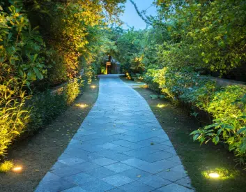Illuminated garden pathway.